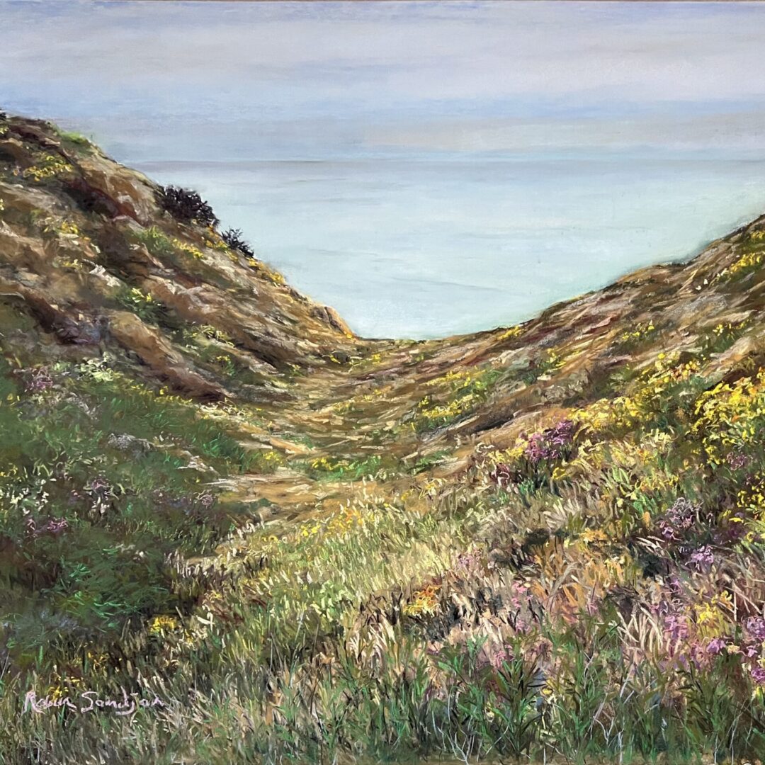 Coastal landscape with wildflowers and sea.