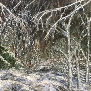 Winter forest scene with snow-covered trees.