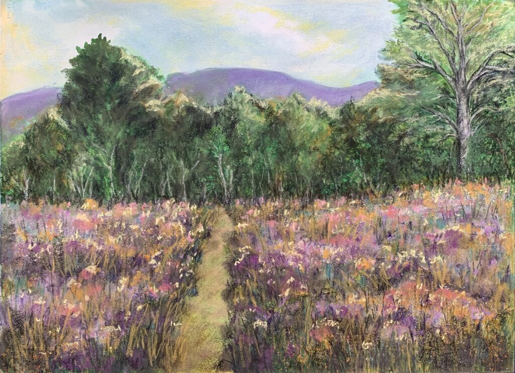 Path through wildflower field and trees.