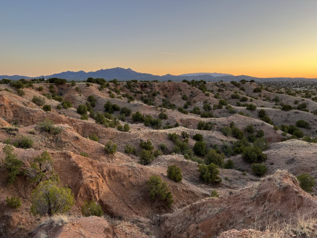 Desert landscape with shrubs and distant mountains.