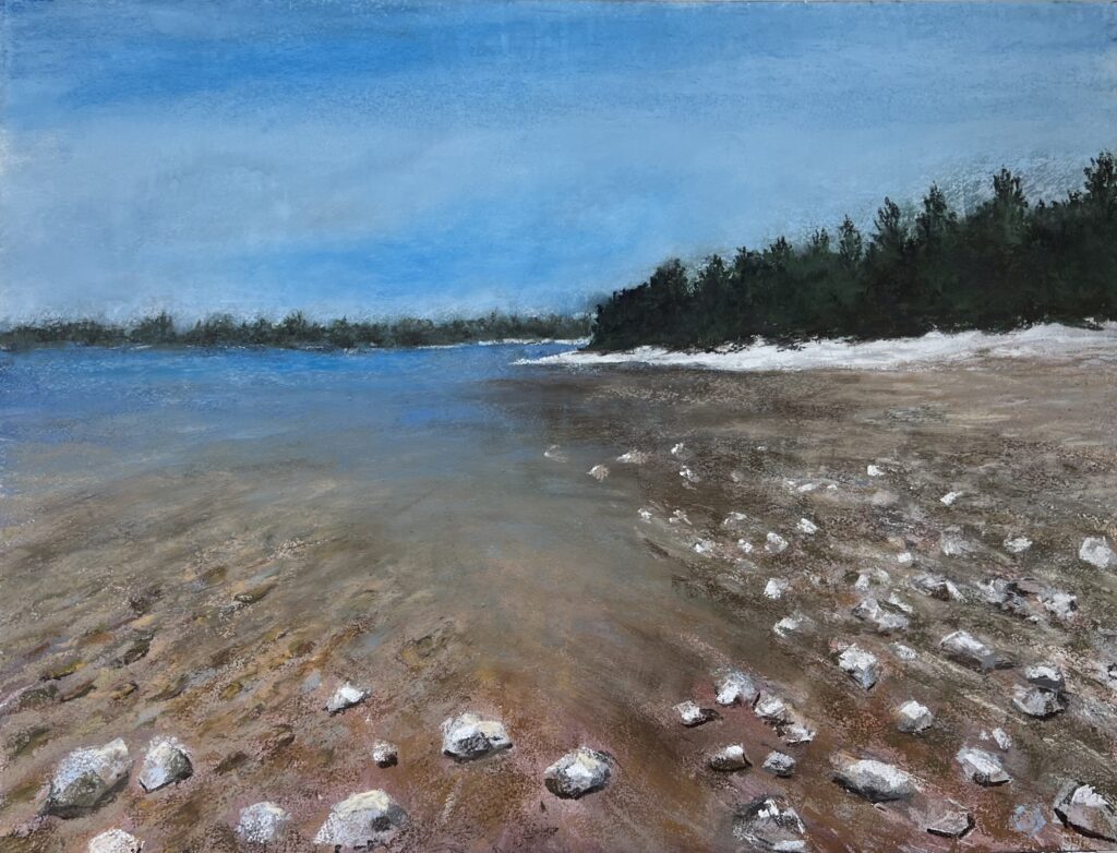 Rocky shoreline with distant trees and water.