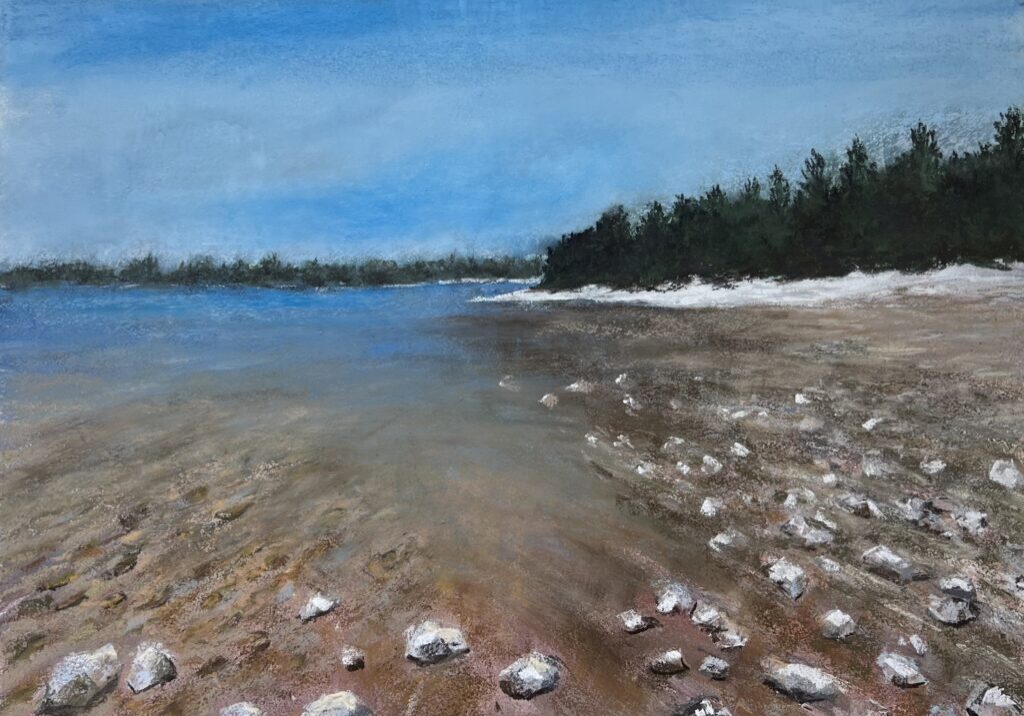Rocky shoreline with distant trees and water.