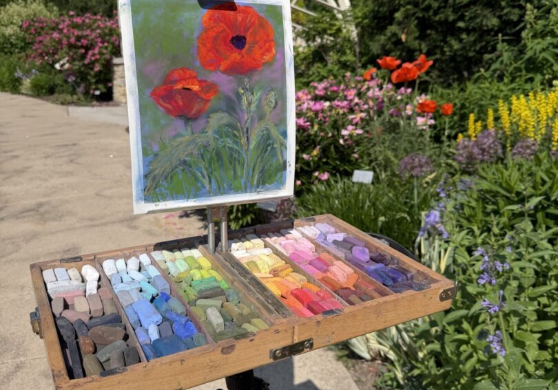 Easel with poppy pastel painting in garden