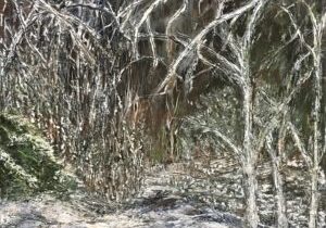 Winter forest scene with snow-covered trees.