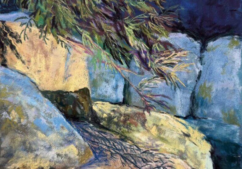 Overhanging branches casting shadows on rocks