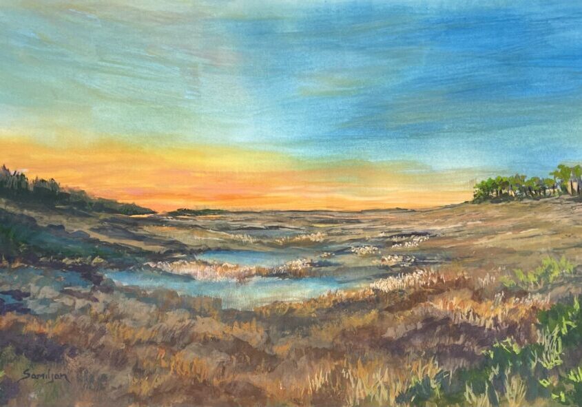Sunset over marsh with pond and trees