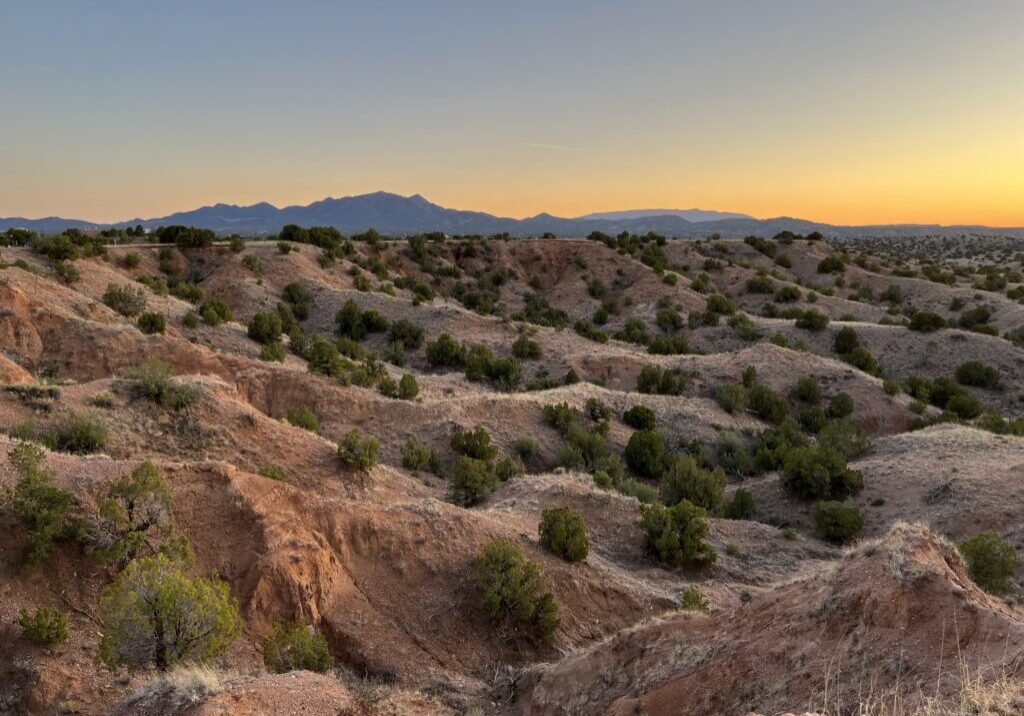 Desert landscape with shrubs and distant mountains.