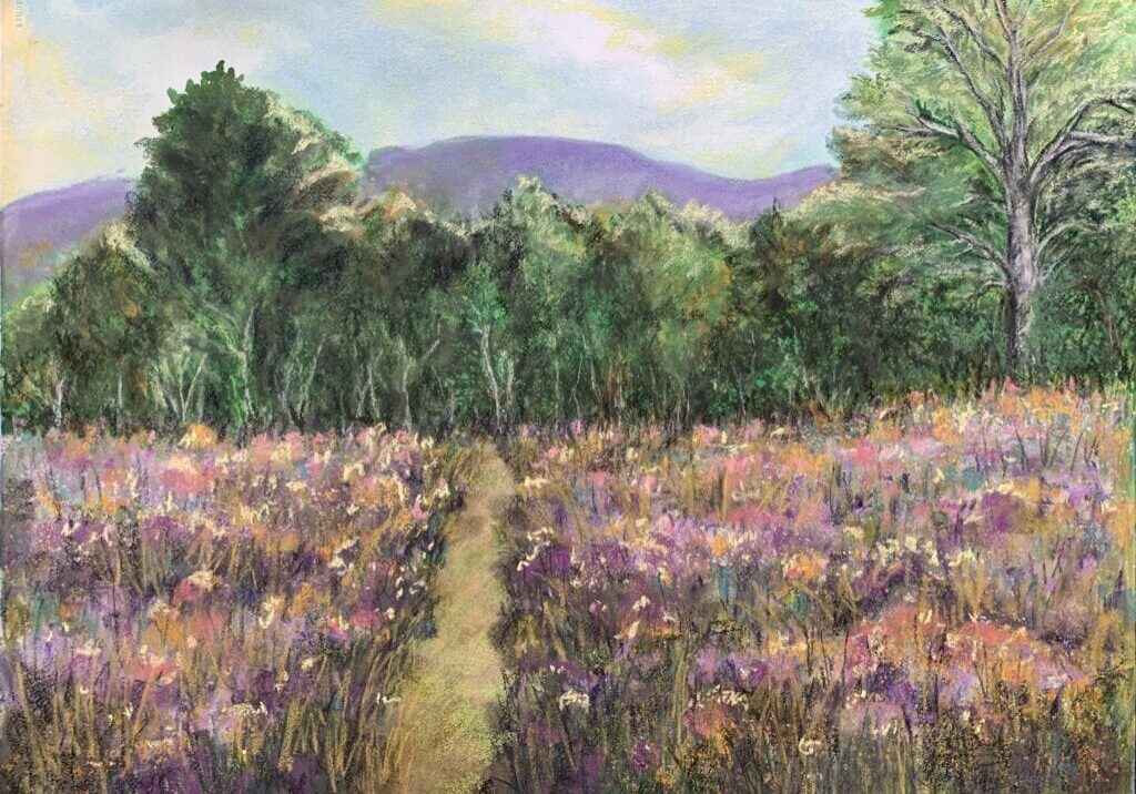 Path through wildflower field and trees.